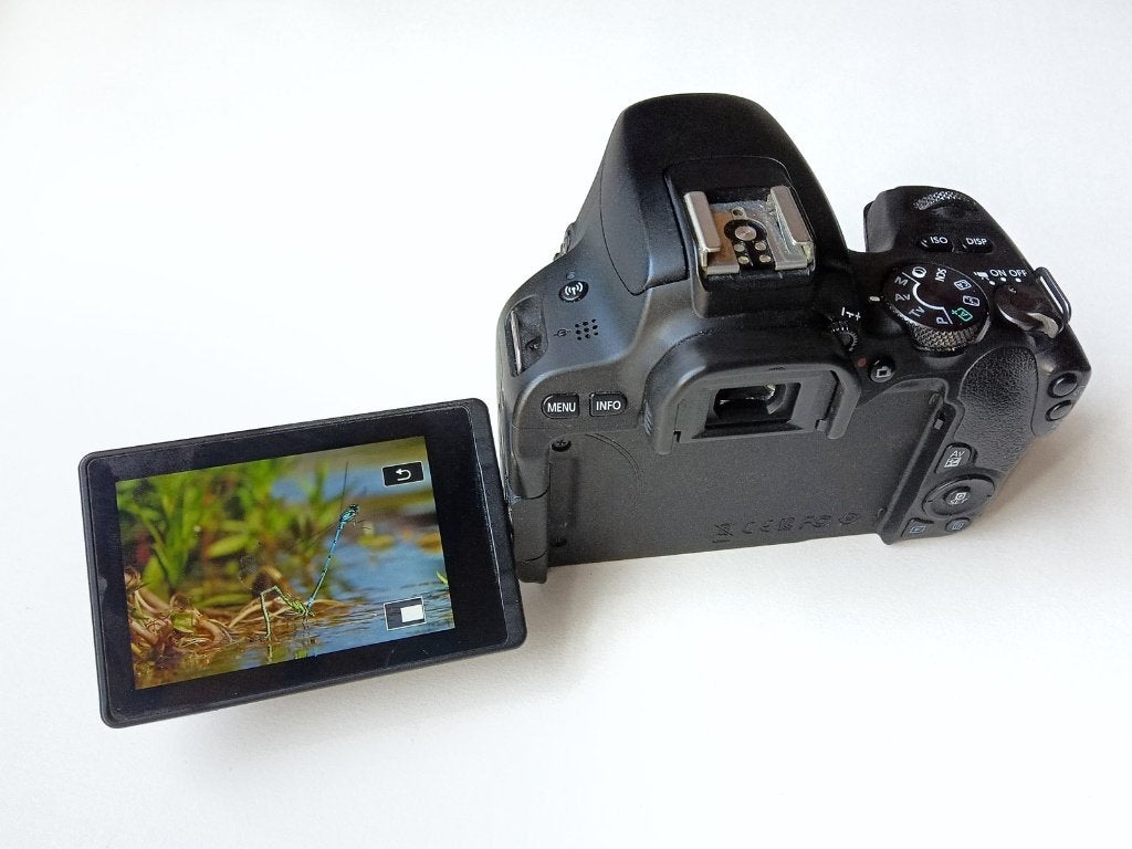 Canon 200D DSLR body DEFECT, Spiegelreflex, Canon, Ophalen of Verzenden, Niet werkend