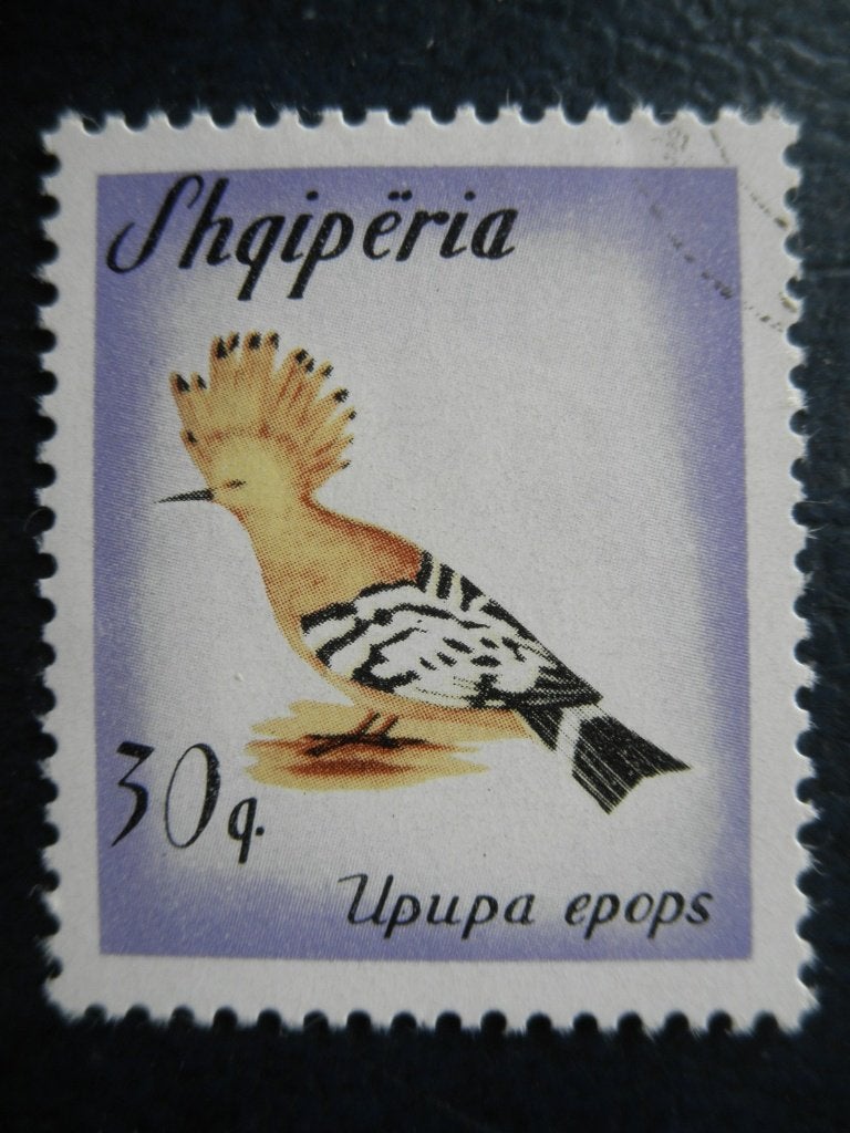 Postzegels Albanië 1965 nr. 975 vogels - cat.w € 0,80., Ophalen of Verzenden, Overige landen, Gestempeld