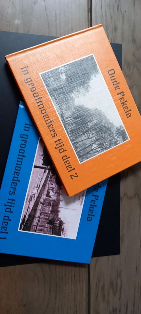 Oude Pekela,  in Grootmoeders tijd., Boeken, Geschiedenis | Stad en Regio, Ophalen of Verzenden, Zo goed als nieuw