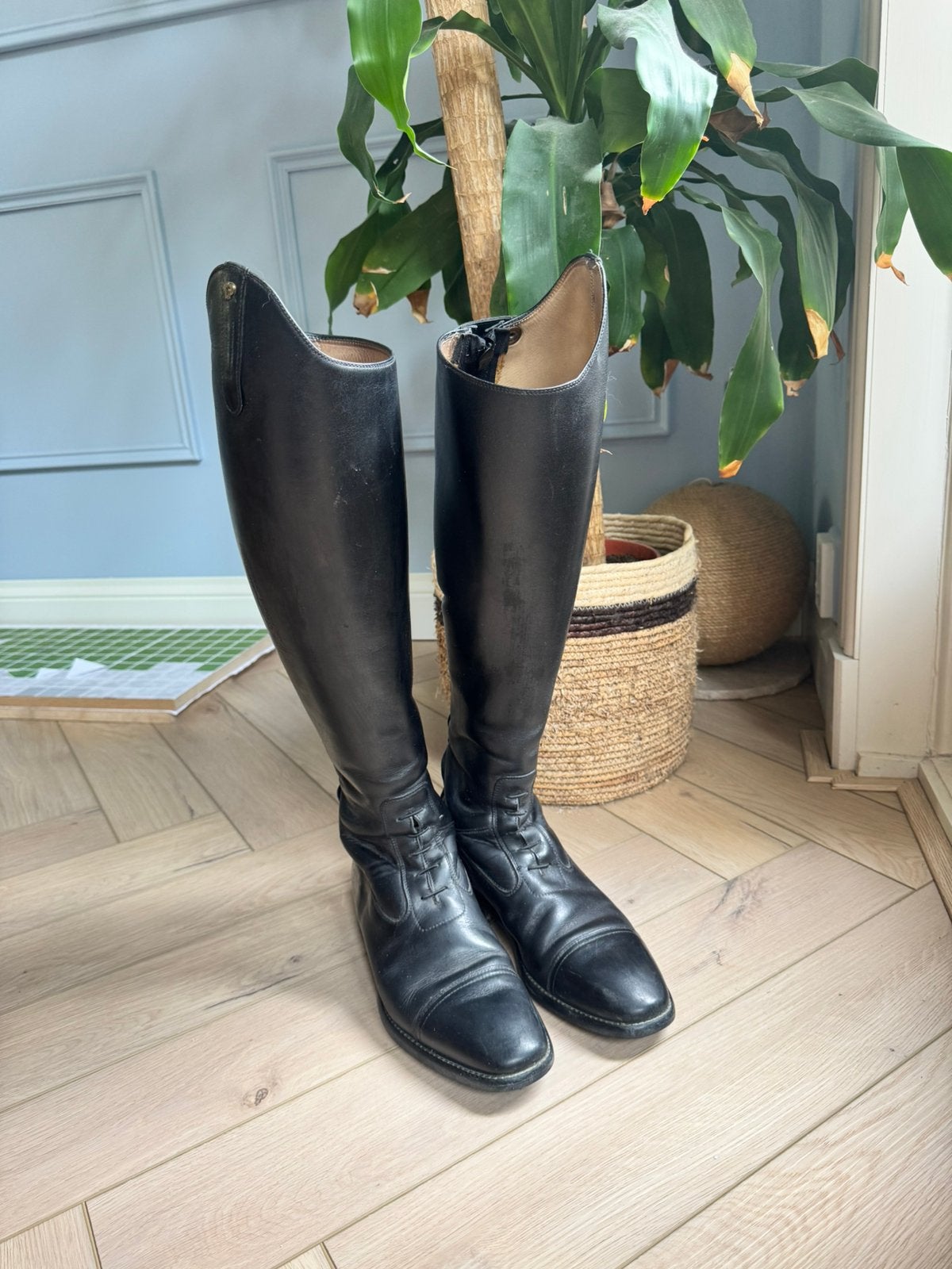 Petrie rijlaarzen maat 39, kuit 38 cm, Ophalen, Zo goed als nieuw, Dressuur, Schoeisel