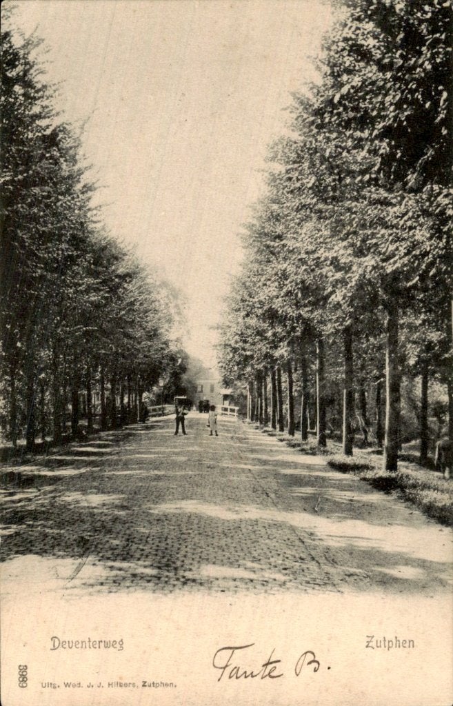 Zutphen - Deventerweg - Bomenlaan met brug, Ophalen of Verzenden, Voor 1920, Gelopen, Gelderland