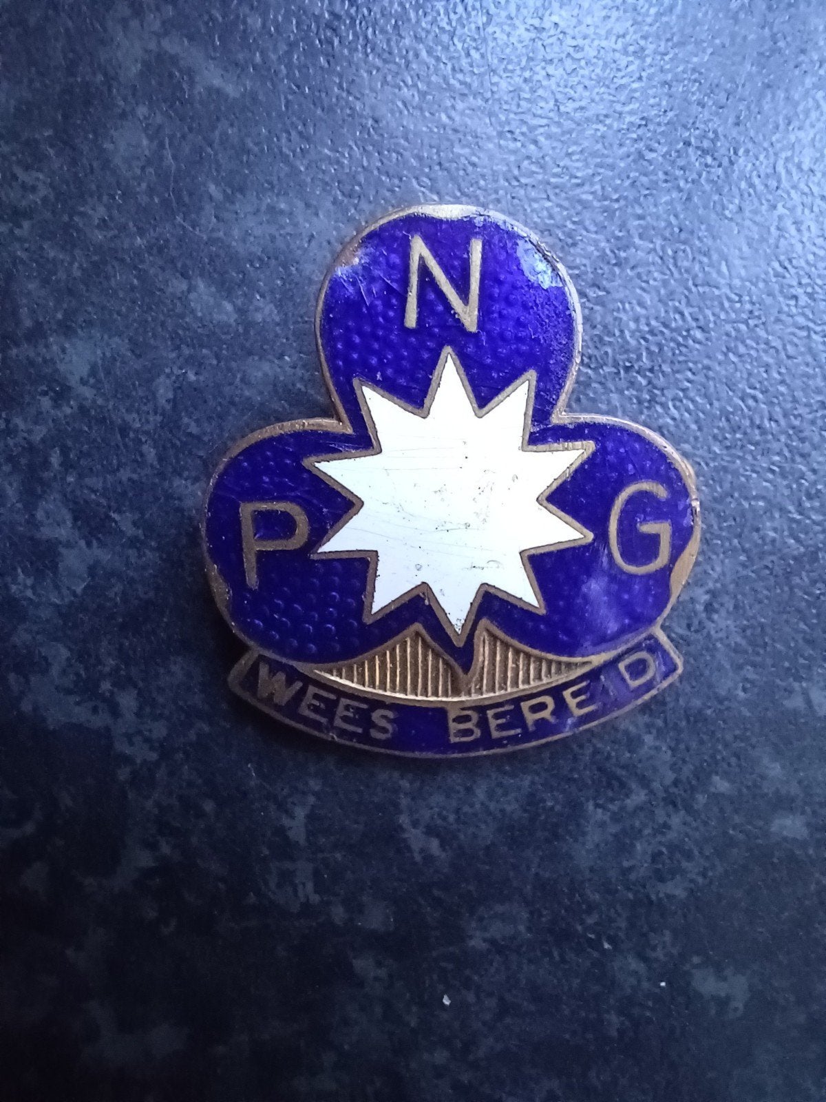 Speld/ broche NPG Wees bereid (gidsen scouting padvinderij), Ophalen of Verzenden, Gebruikt, Overige onderwerpen, Speldje of Pin