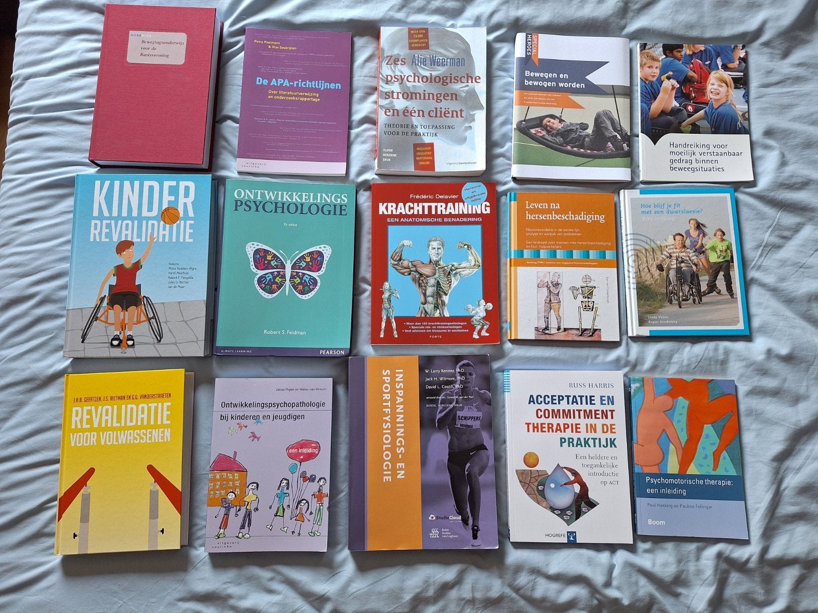 Verschillende studieboeken, Boeken, Ophalen of Verzenden, Gamma, Zo goed als nieuw, HBO