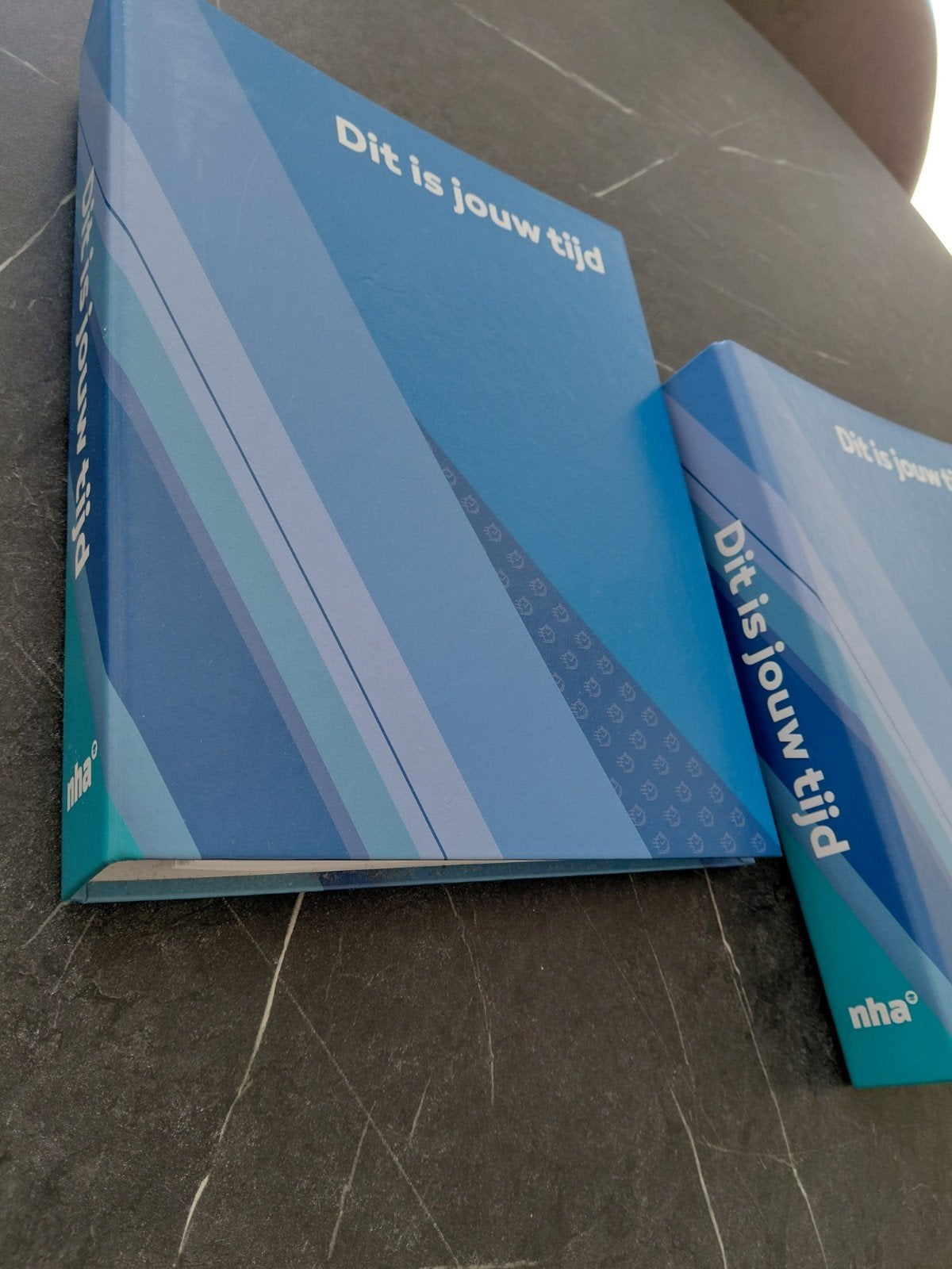 2 leerboeken voor Copywriter NHA, Boeken, Ophalen of Verzenden, Gelezen, HBO