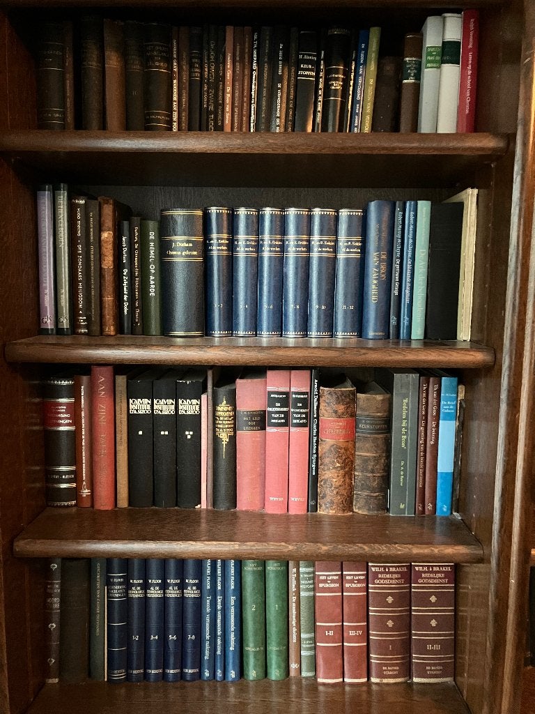 Oude schrijvers puriteinen, Ophalen of Verzenden, Gelezen, Christendom | Protestants