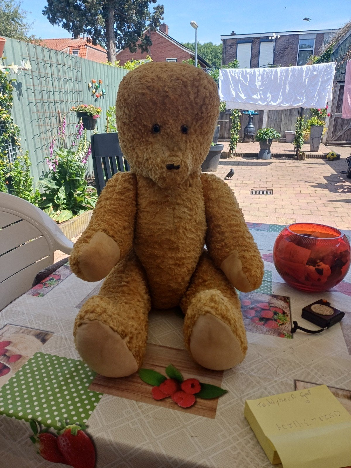 Antieke  grote teddybeer uit de jaren 1920, Ophalen of Verzenden, Gebruikt, Stoffen beer, Overige merken