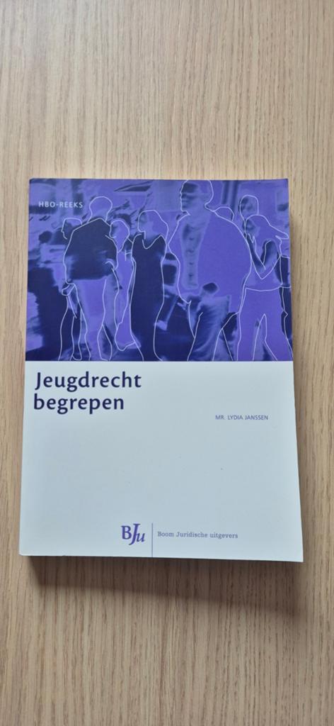 Jeugdrecht begrepen - HBO-reeks, Boeken, Studieboeken en Cursussen, Verzenden, HBO, Zo goed als nieuw, Lydia Janssen