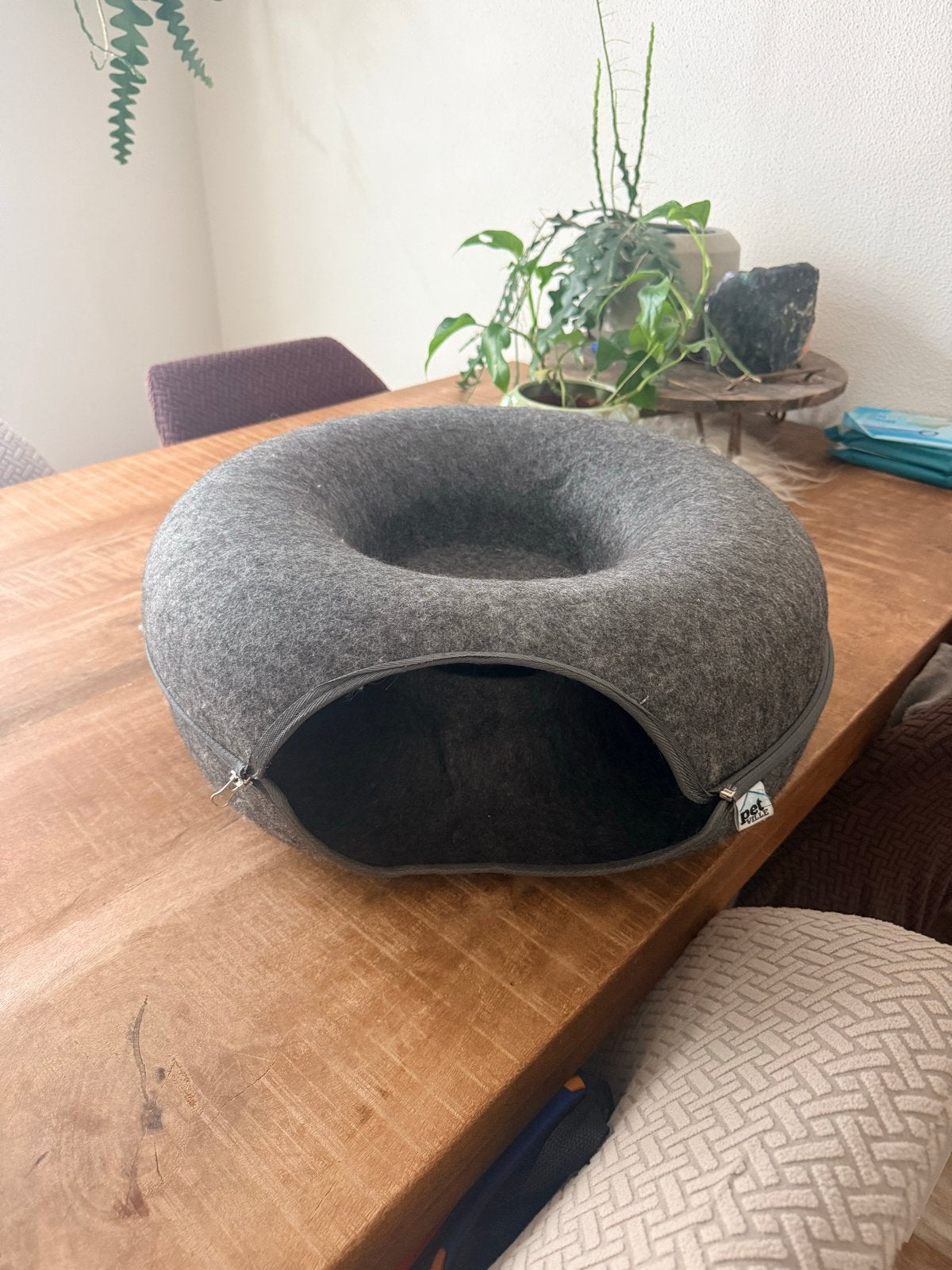 Kattenmand, Kater