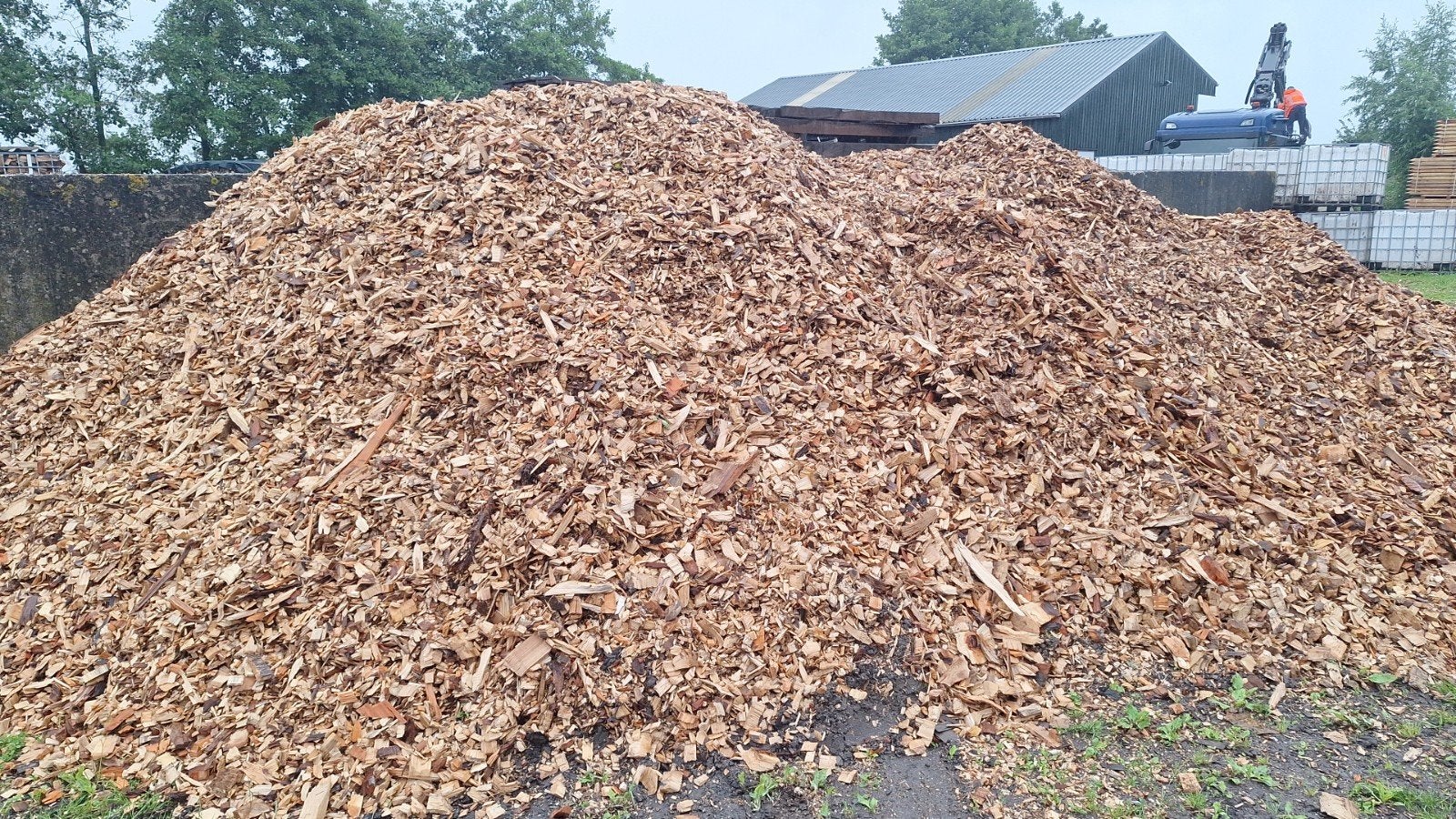 Houtsnippers Hout snippers, Ophalen of Verzenden, Hout, Minder dan 3 meter, 1 tot 2 meter