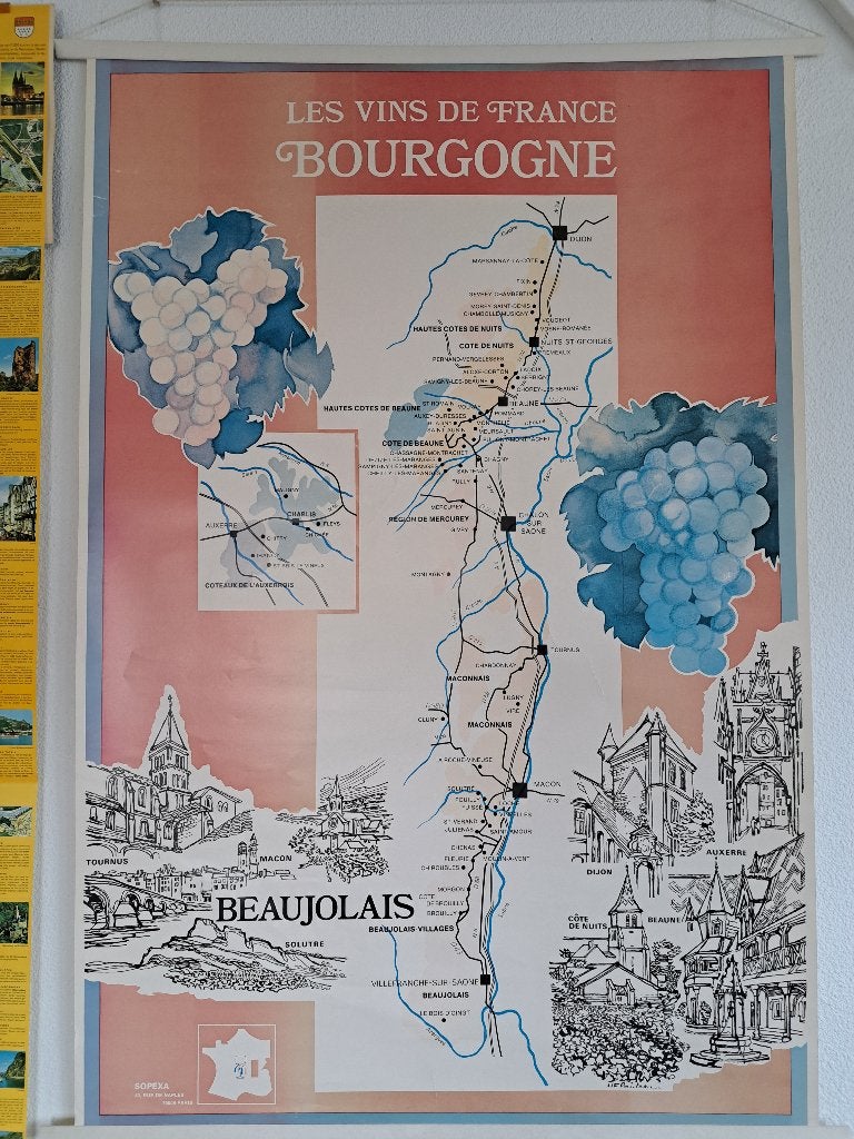 Sopexa poster wijngebied Bourgogne, Verzamelen, Rechthoekig Staand, Deurposter of groter, Ophalen of Verzenden, Zo goed als nieuw