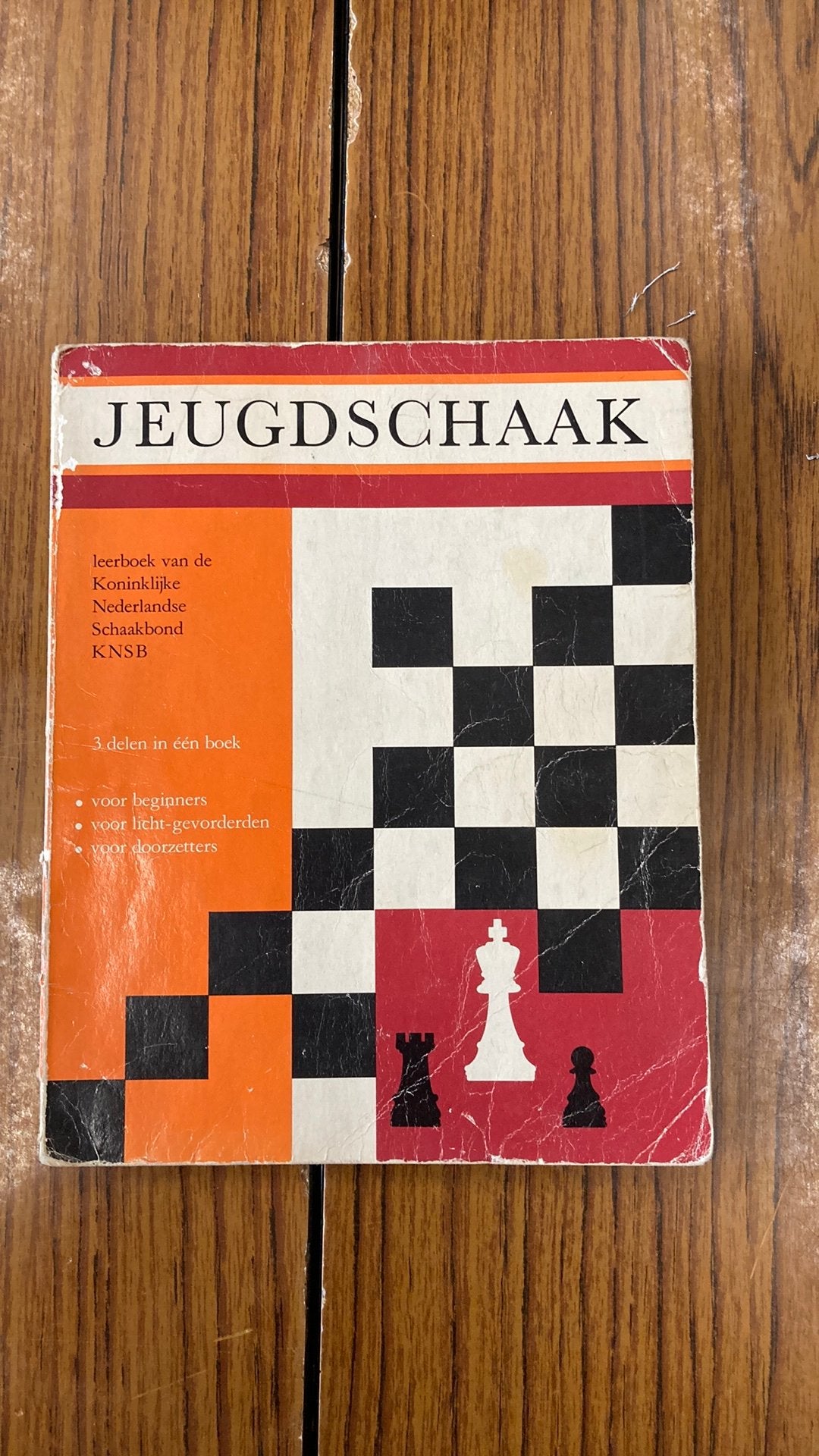 Jeugdschaak, Boeken, Ophalen of Verzenden, Gelezen, Overige onderwerpen