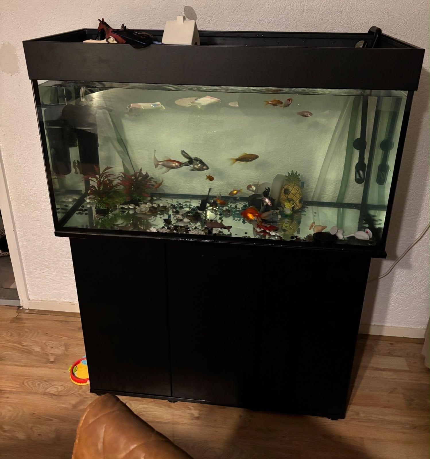 Aquarium (COMPLEET), Ophalen, Pomp, Nieuw, Aquariummeubel