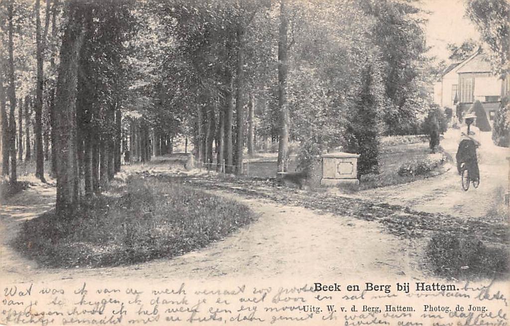 Beek en Berg bij Hattem (Gelderland) Meisje op fiets Veluwe, Ophalen of Verzenden, Voor 1920, Gelopen, Gelderland