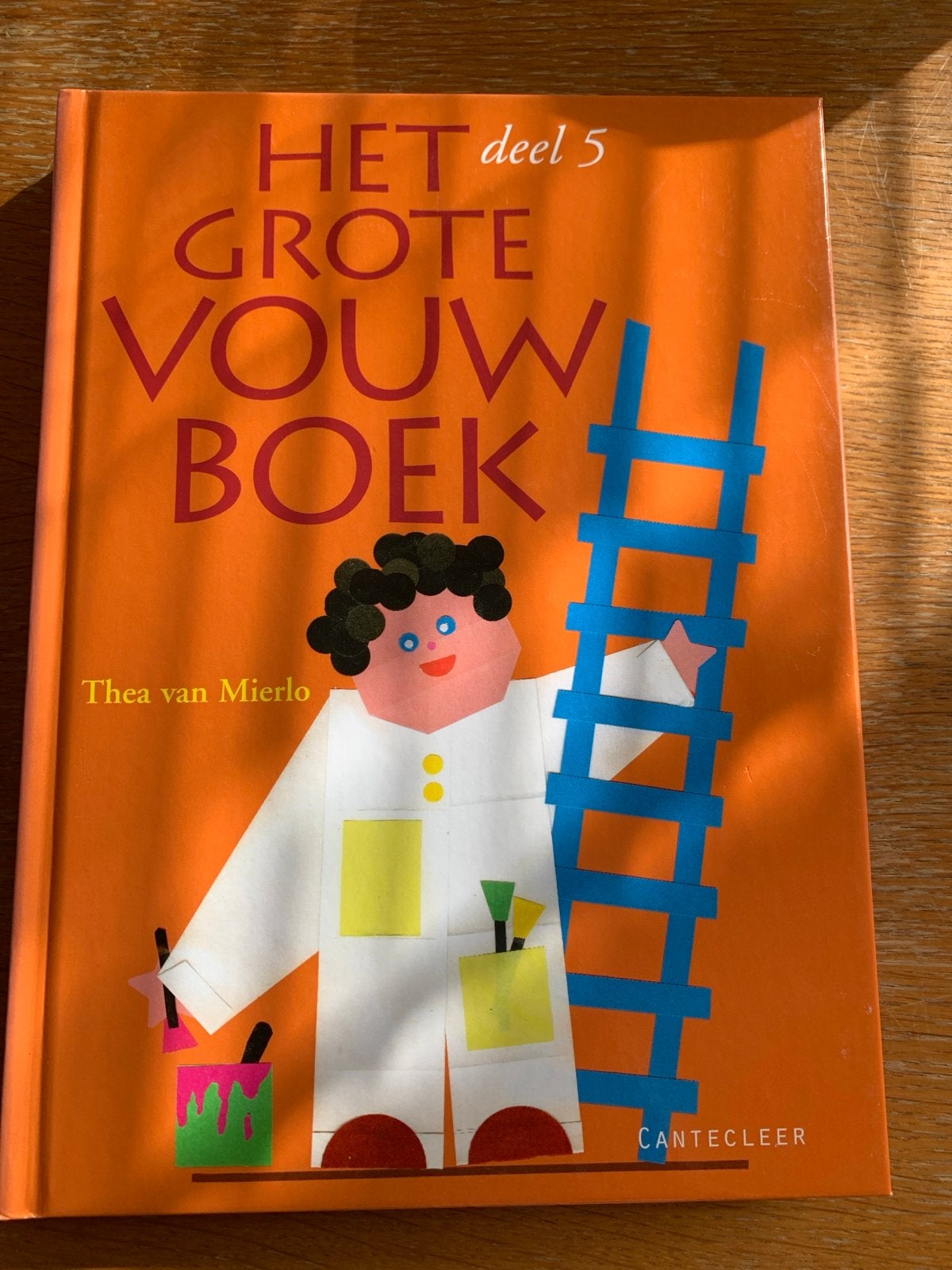 Het Grote Vouwboek deel 5 - Thea van Mierlo, Ophalen of Verzenden, Gelezen, Non-fictie