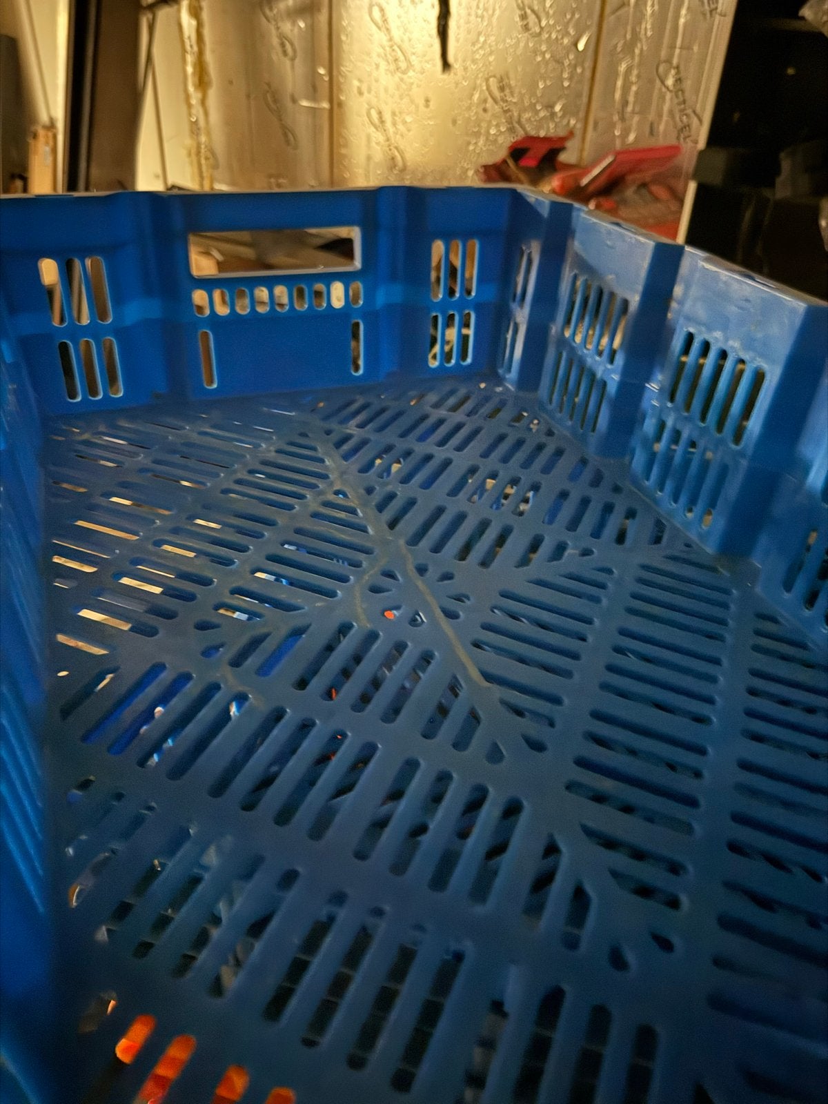 Stevige plastic kratten, diverse kleuren, gebruikt 59x39x15, Ophalen, Gebruikt, 40 tot 60 cm, 50 tot 75 cm