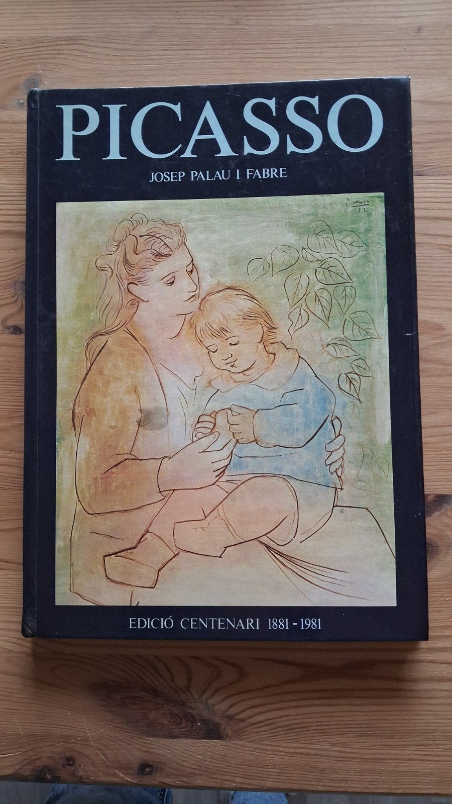 Picasso - Josep Palau i Fabre (Spaans), Ophalen of Verzenden, Gelezen, Josep Palau i Fabre
