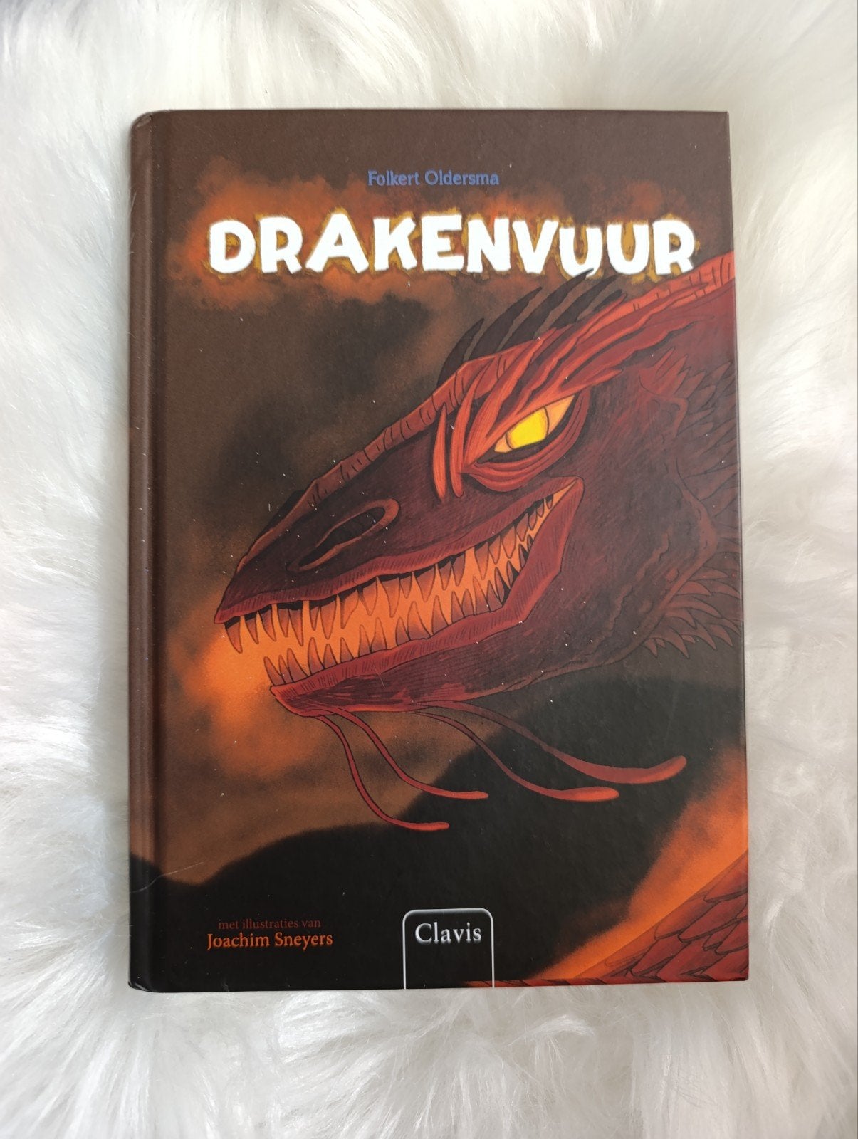 Drakenvuur - Folkert Oldersma, Ophalen of Verzenden, Zo goed als nieuw, Folkert Oldersma