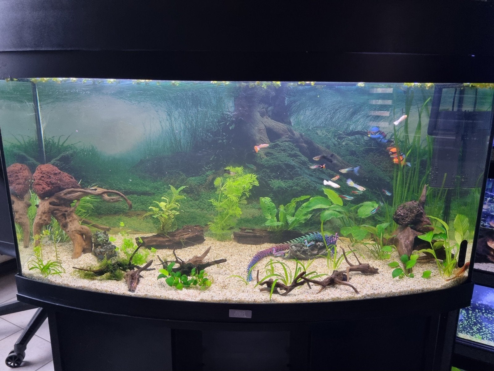 Aquarium Whatsapp groep voor Tilburg en directe omgeving, Dieren en Toebehoren, Ophalen, Gebruikt