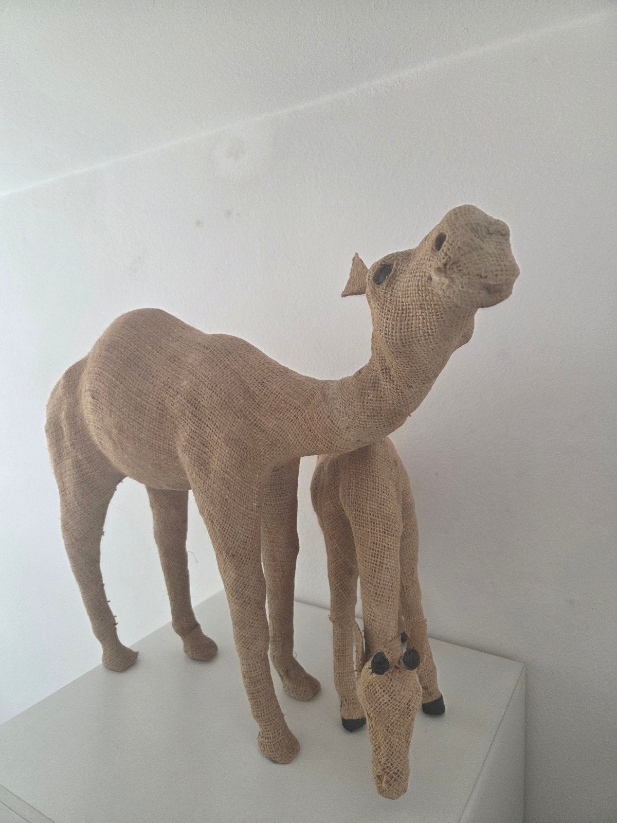 kamelen, 38 en 25 cm, Ophalen of Verzenden, Beeldje of Figuurtje