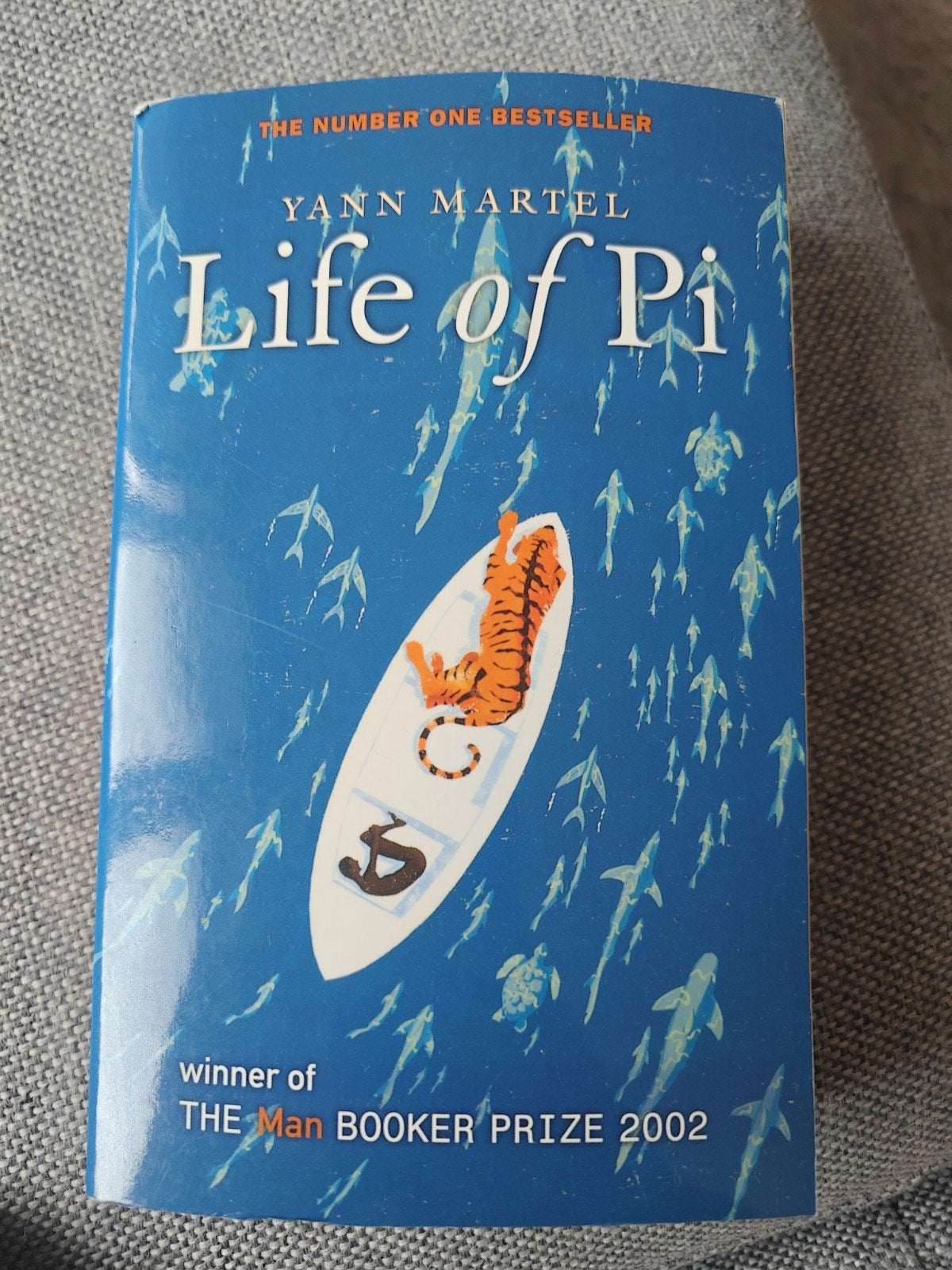 Life of Pi - Yann Martel (Man Booker Prize 2002), Boeken, Ophalen of Verzenden, Gelezen, Yann Martel, Europa overig