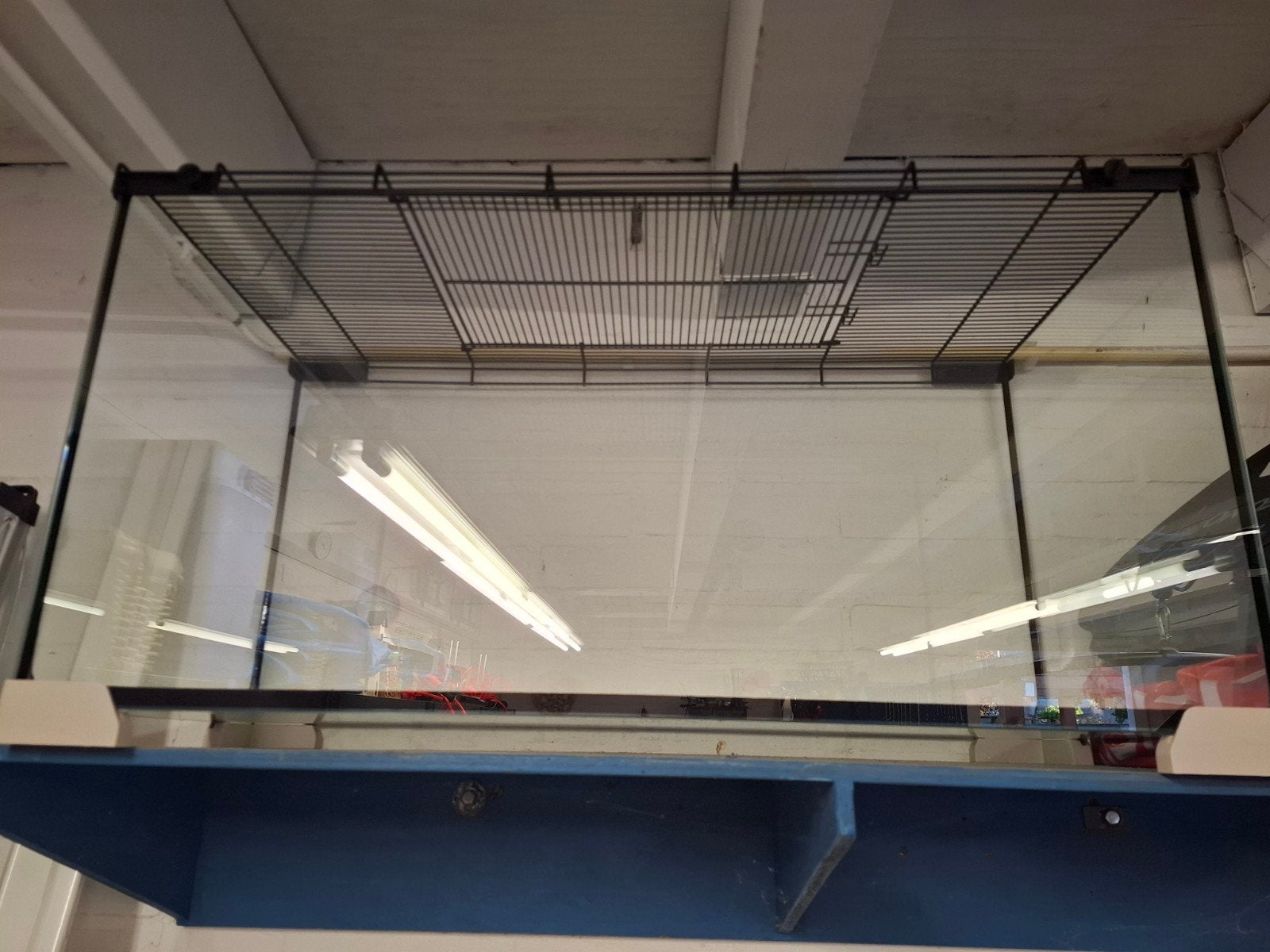 Hamsterkooi, Dieren en Toebehoren, Knaagdieren en Konijnen | Hokken en Kooien, Kooi, Zo goed als nieuw, Hamster, 75 tot 110 cm