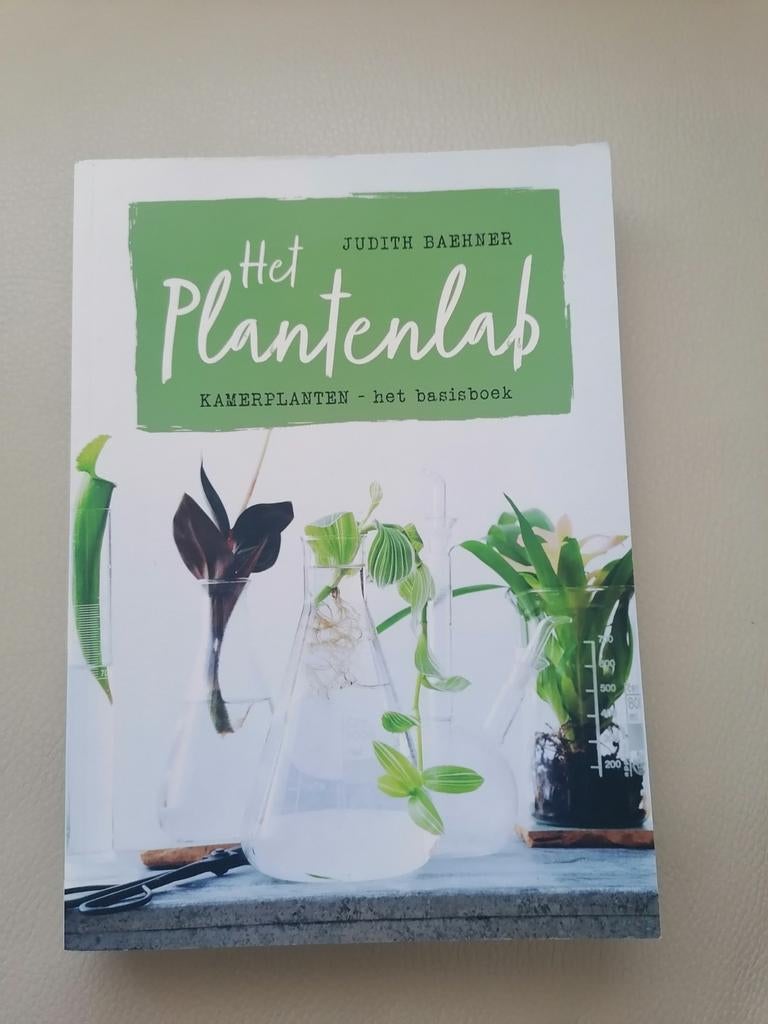 Het Plantenlab: Kamerplanten - het basisboek, Boeken, Ophalen of Verzenden, Gelezen, Judith Baehner, Kamerplanten