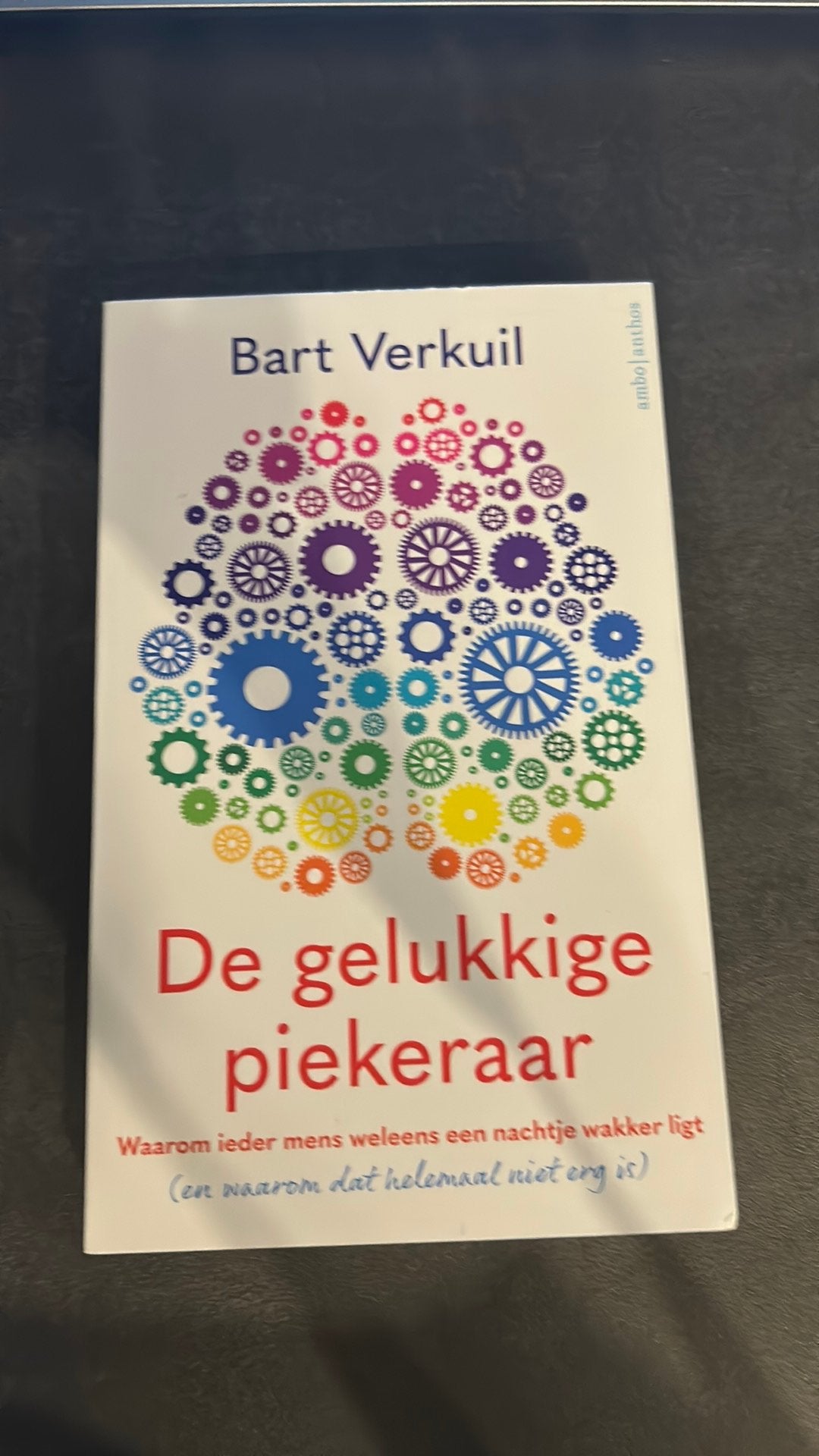 De gelukkige piekeraar, Ophalen of Verzenden, Nieuw, Bart Verkuil