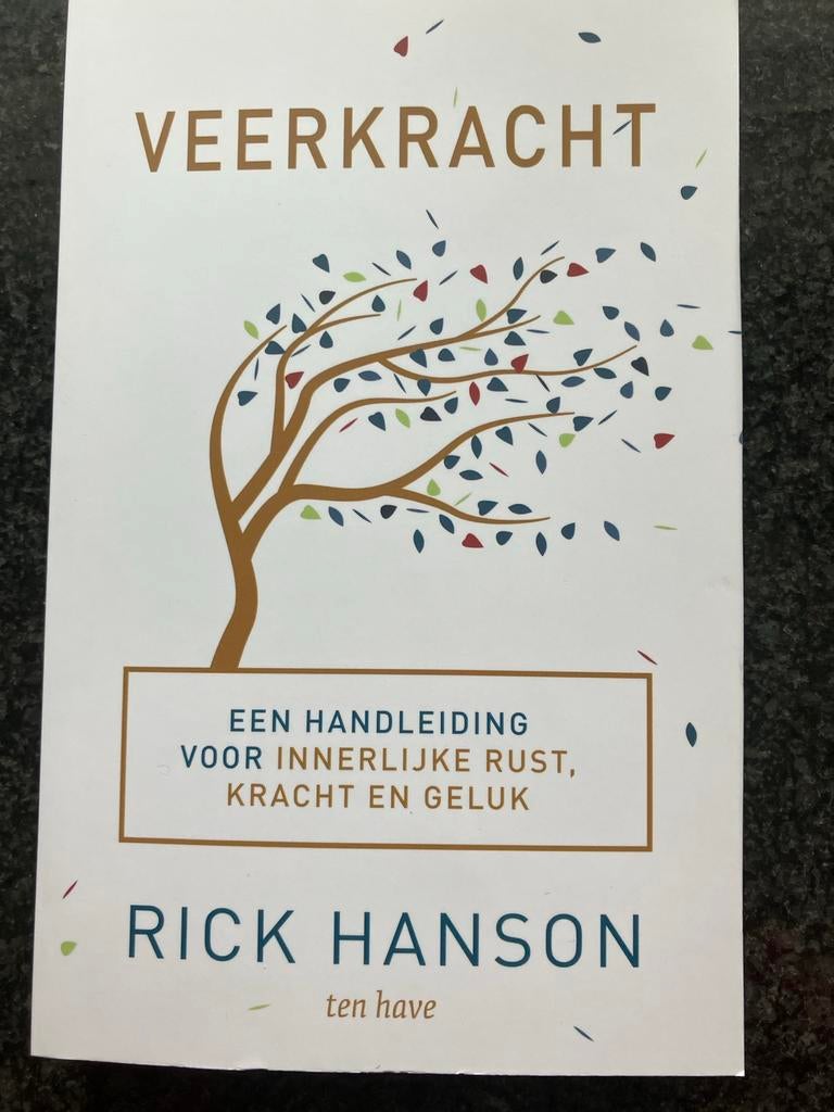 Veerkracht - Rick Hanson (Nieuw en ongelezen), Ophalen of Verzenden, Nieuw, Klinische psychologie