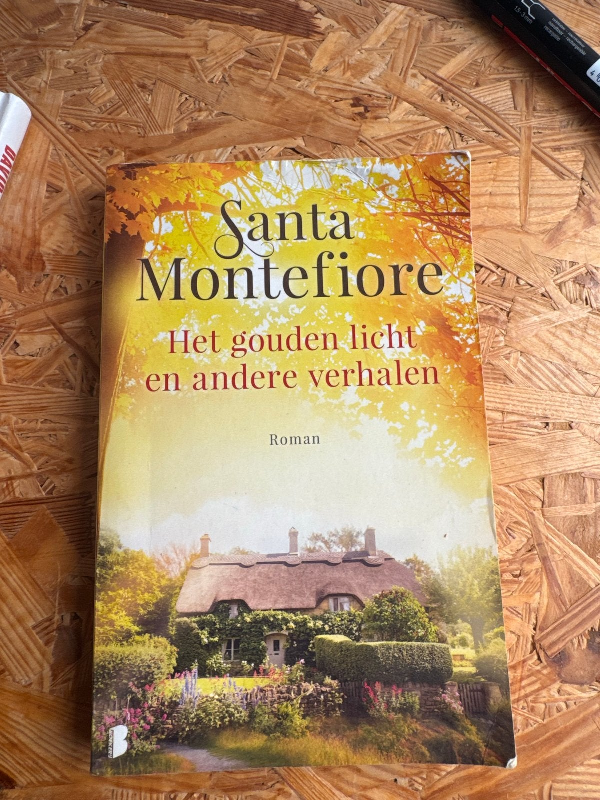 Het gouden licht en andere verhalen - Santa Montefiore, Ophalen of Verzenden, Gelezen