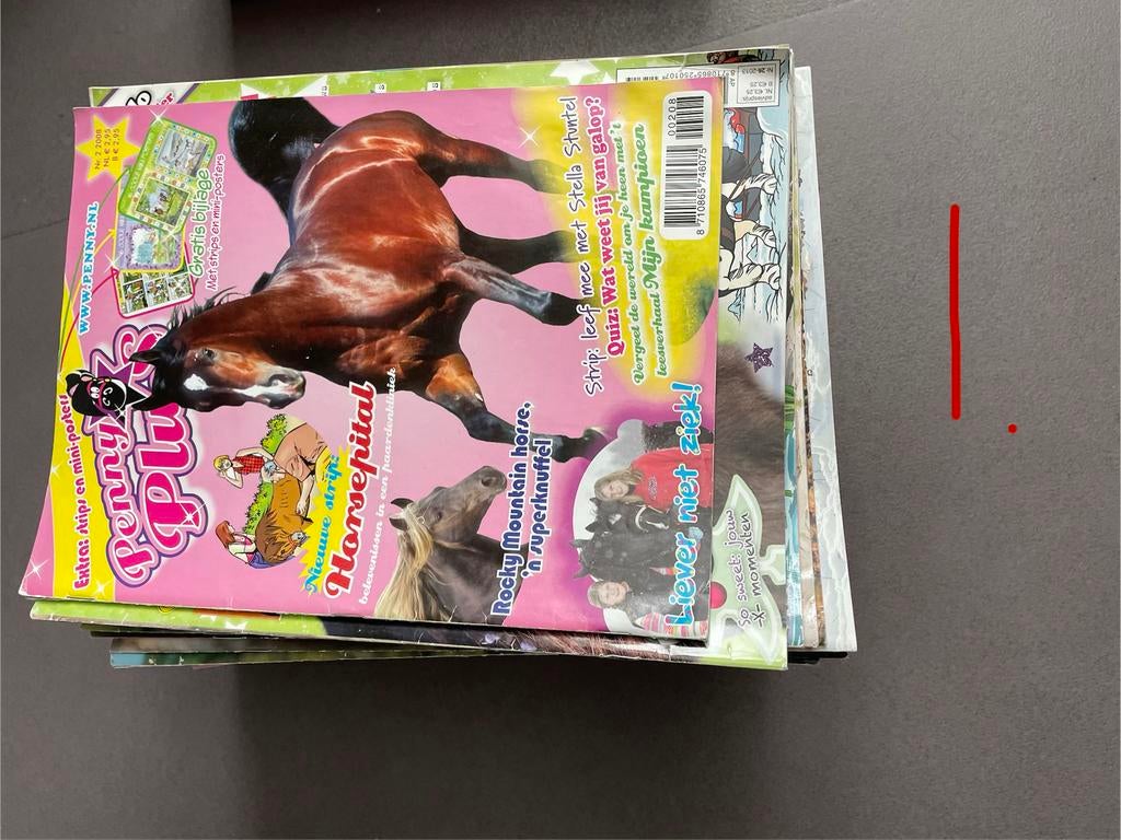 Veel penny’s met vakantieboeken, Ophalen, Gelezen