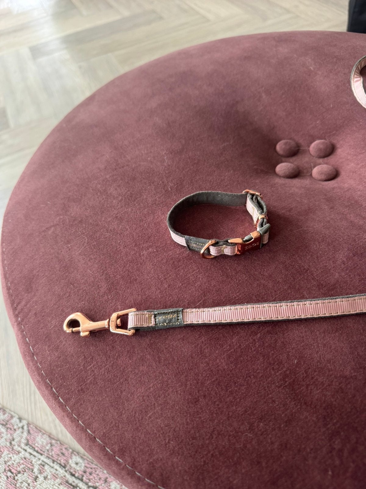 Halsband en riem van zoo met rose goud zgan, Ophalen of Verzenden, Zo goed als nieuw