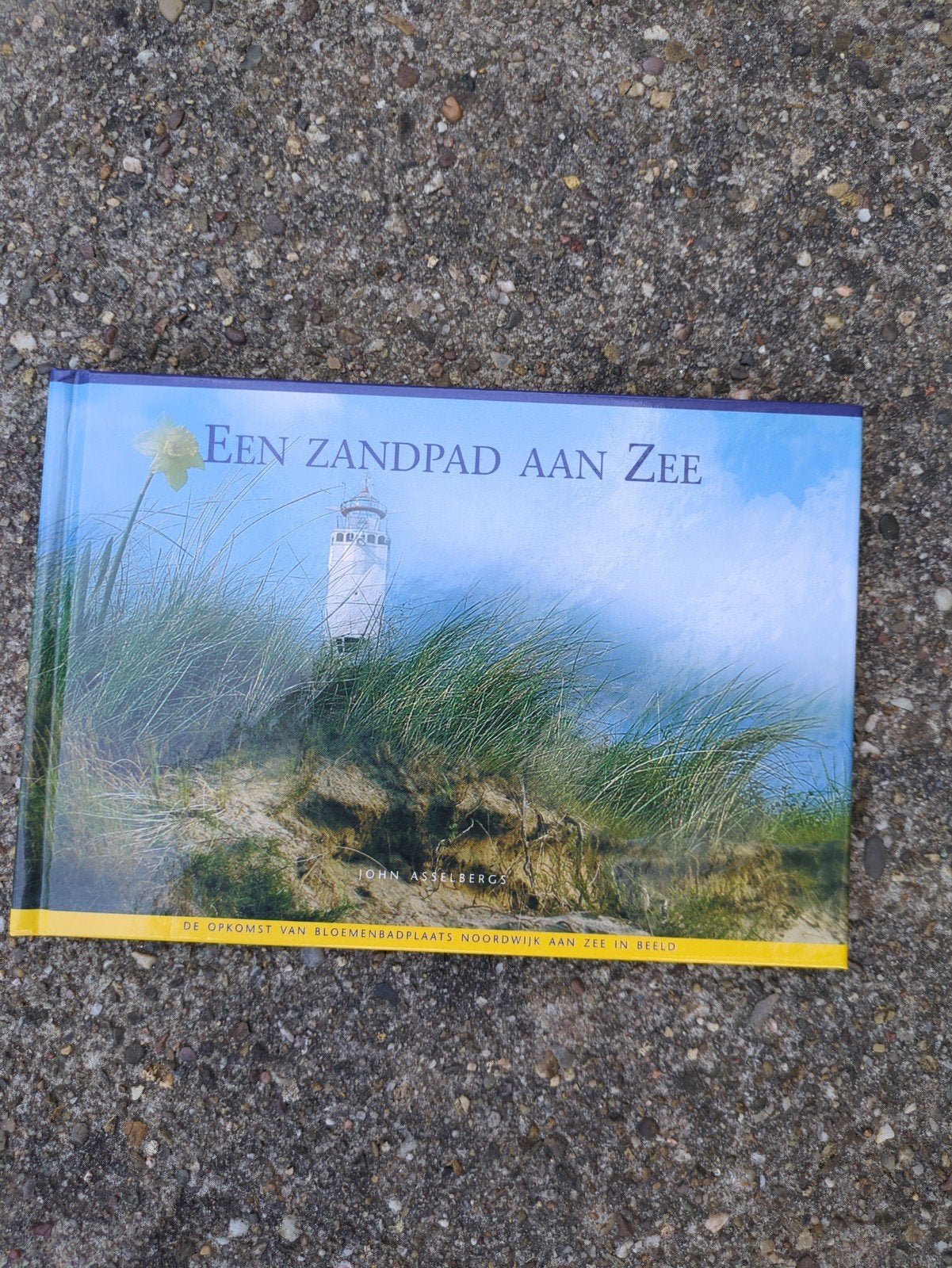 Een Zandpad aan Zee: Noordwijk in Beeld, Ophalen of Verzenden, 20e eeuw of later, Zo goed als nieuw, John Asselbergs