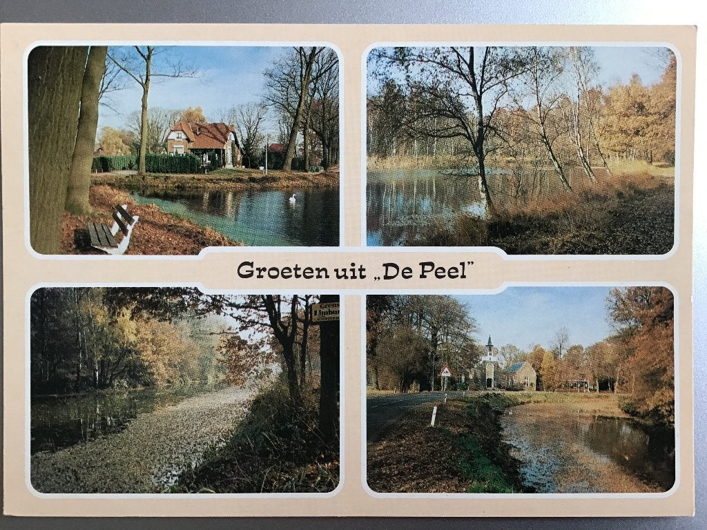 Meijel Groeten uit "De Peel" -  Ansichtkaart Startebos 1992, Ophalen of Verzenden, 1980 tot heden, Ongelopen, Limburg