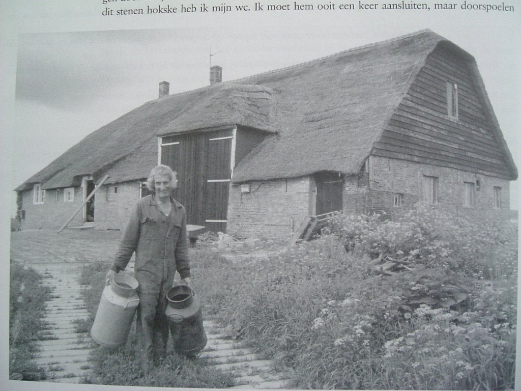 Huizen en hofsteden in het Land van Heusden en Altena., Ophalen of Verzenden, Zo goed als nieuw, Geke van de Merwe - Wouters