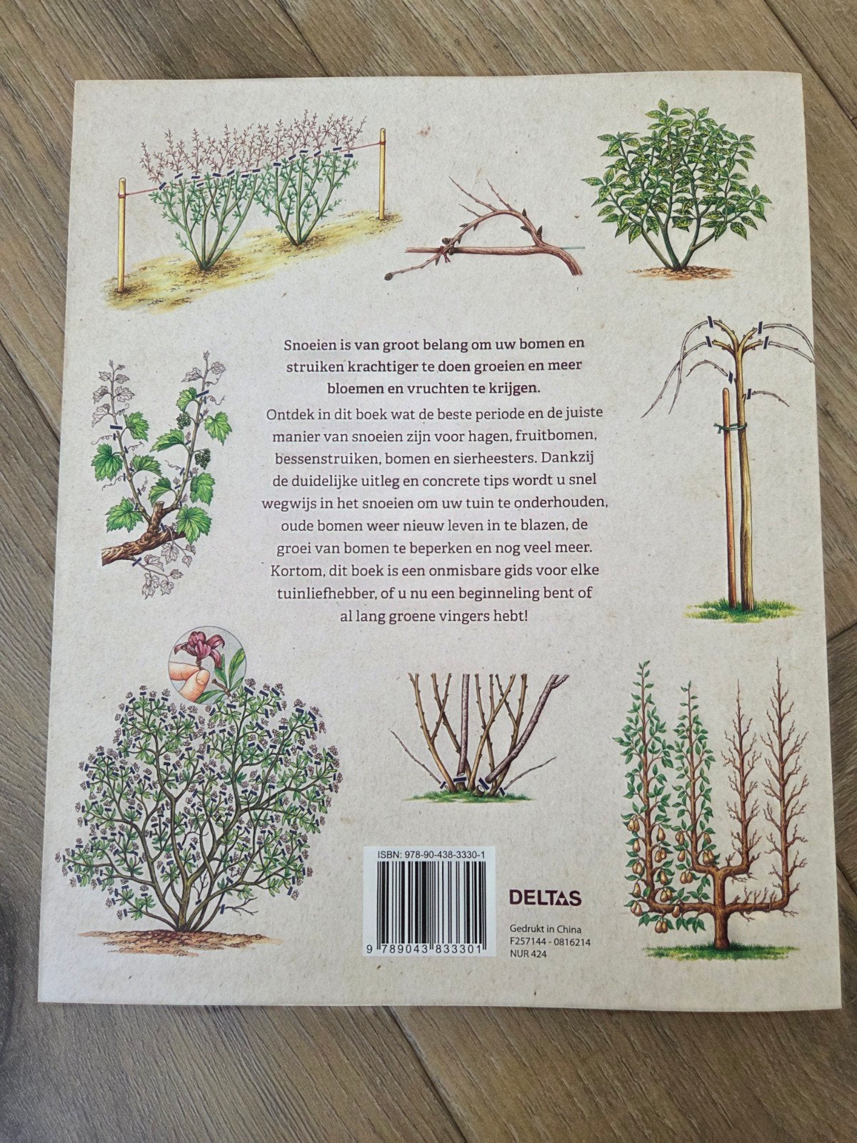 Snoeien: Bomen en struiken correct snoeien, Ophalen, Nieuw, Onbekend, Tuinieren en Tuinplanten