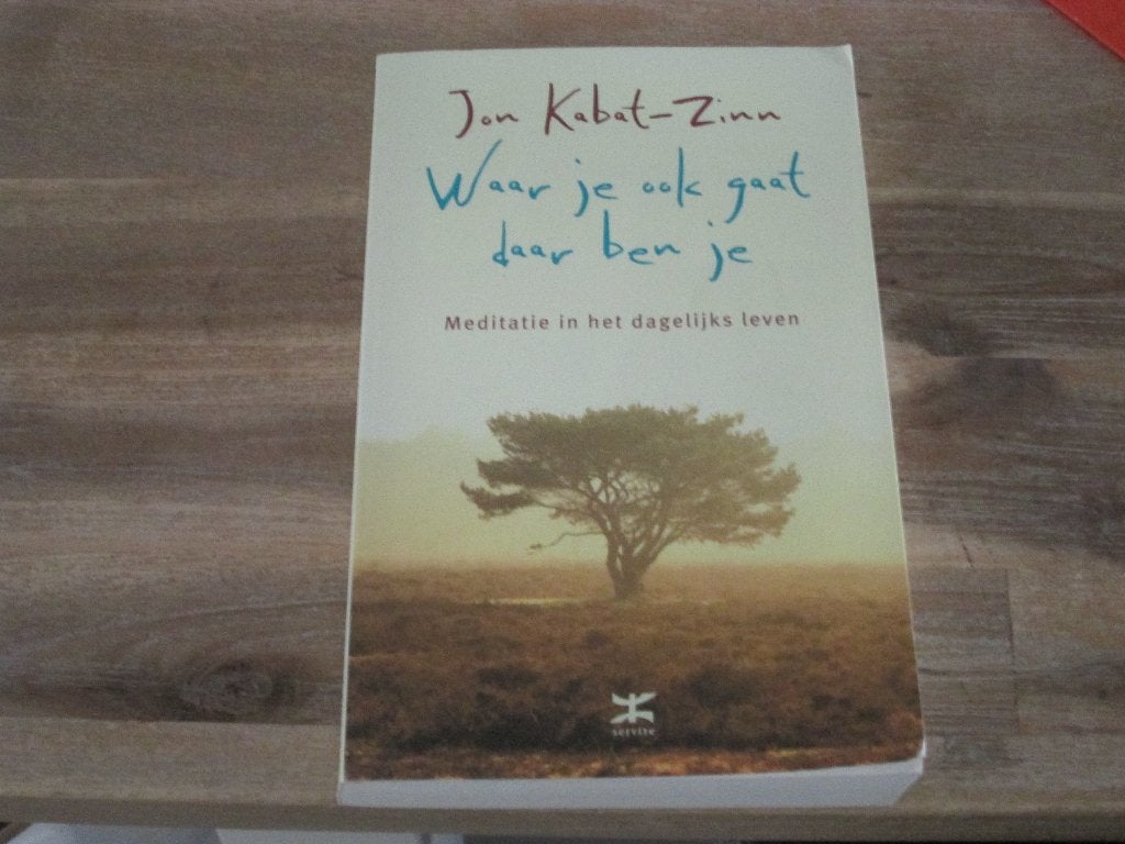 Waar je ook gaat, daar ben je - Jon Kabat-Zinn, Meditatie of Yoga, Ophalen of Verzenden, Zo goed als nieuw, Instructieboek