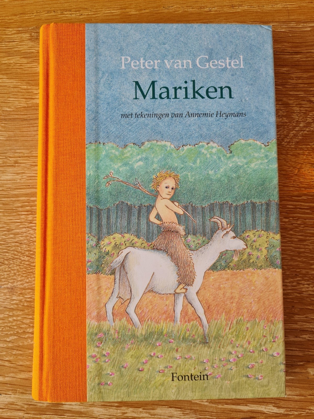 P. van Gestel - Mariken, Ophalen of Verzenden, Zo goed als nieuw, P. van Gestel