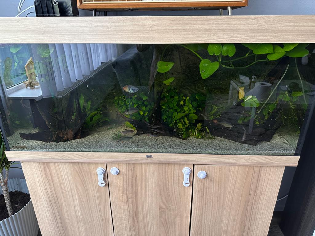 Juwel aquarium, Ophalen of Verzenden, Leeg aquarium
