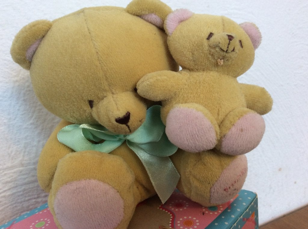 forever friends knuffelbeer met klein beertje op schoot, Ophalen of Verzenden, Zo goed als nieuw, Stoffen beer, Forever Friends