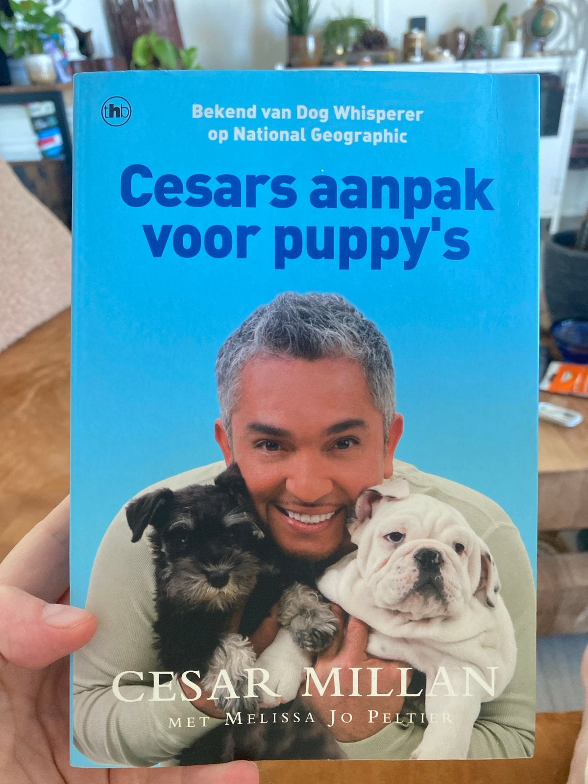 Cesars aanpak voor puppy's - Cesar Millan, Ophalen of Verzenden, Zo goed als nieuw, Honden