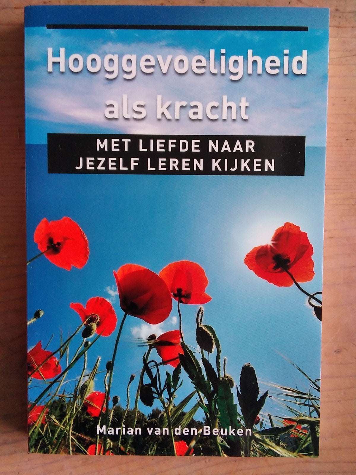 Ankertje: Hooggevoeligheid als kracht - Marian vd Beuken, Verzenden, Zo goed als nieuw, Overige onderwerpen, Achtergrond en Informatie