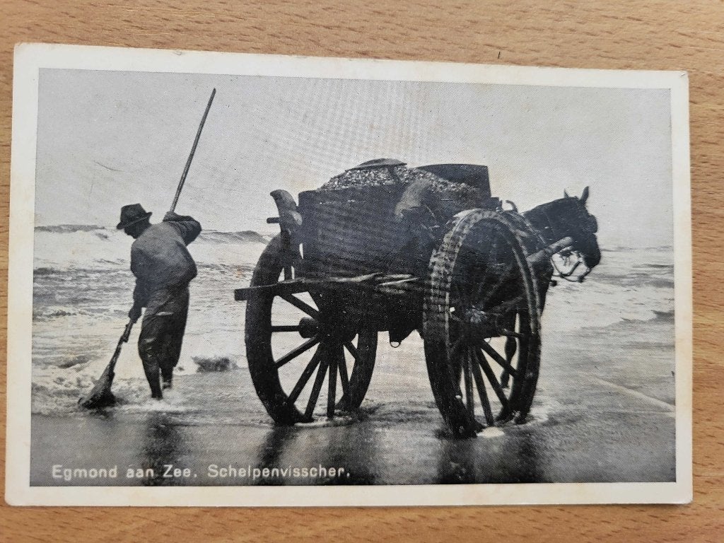 ansicht EGMOND Schelpenvisser, Ophalen of Verzenden, Voor 1920, Noord-Holland