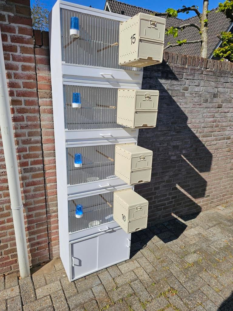 4 Birdsupply kunststof  broed kooien  met   onderkast, Dieren en Toebehoren, Vogels | Hokken en Kooien, Ophalen, Kunststof, Broedkooi of Kweekkooi