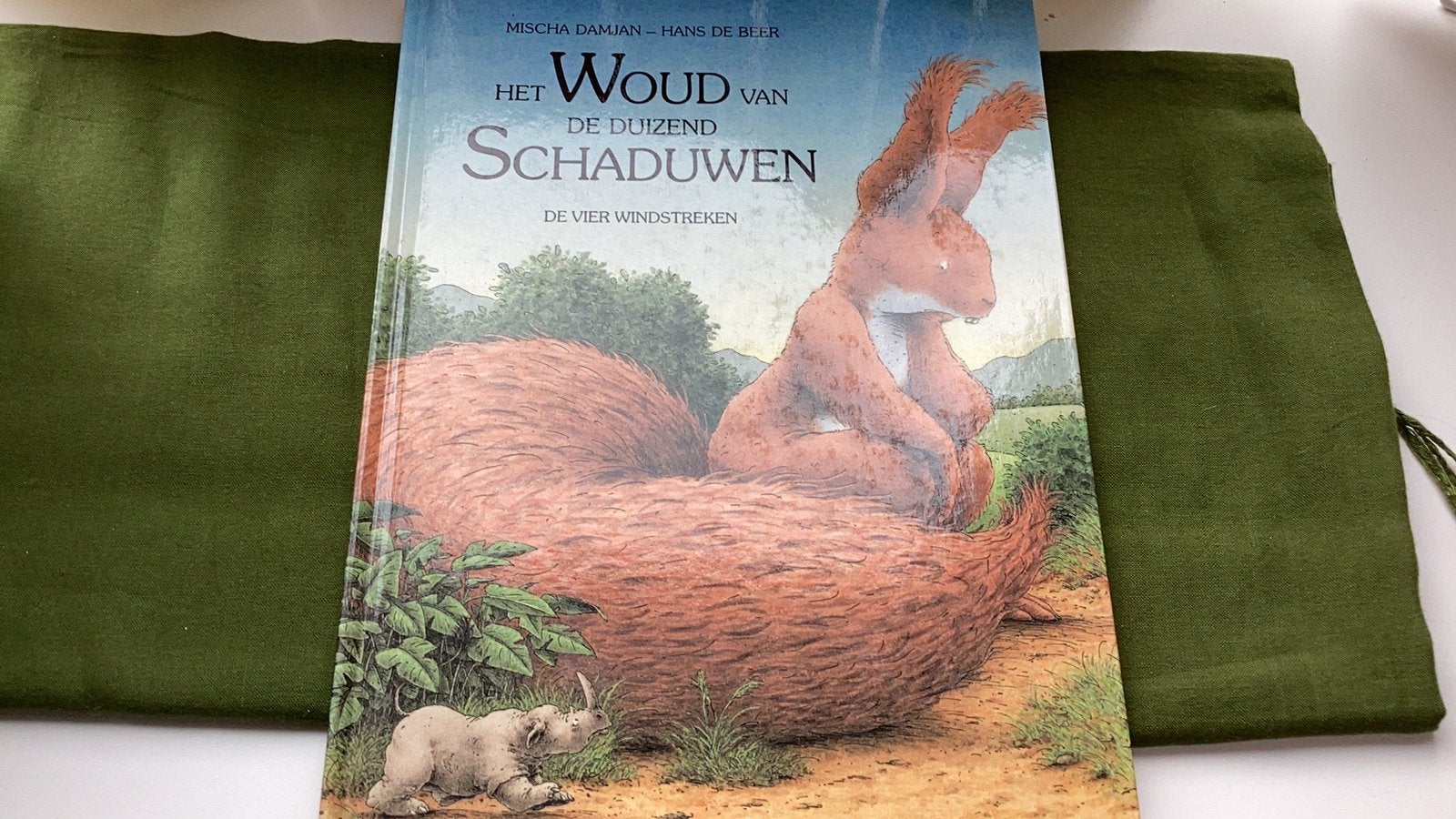 Mischa Damjan.Het woud van de duizend schaduwen.Prentenboek, Ophalen of Verzenden, Zo goed als nieuw, Mischa Damjan/Hans de Beer