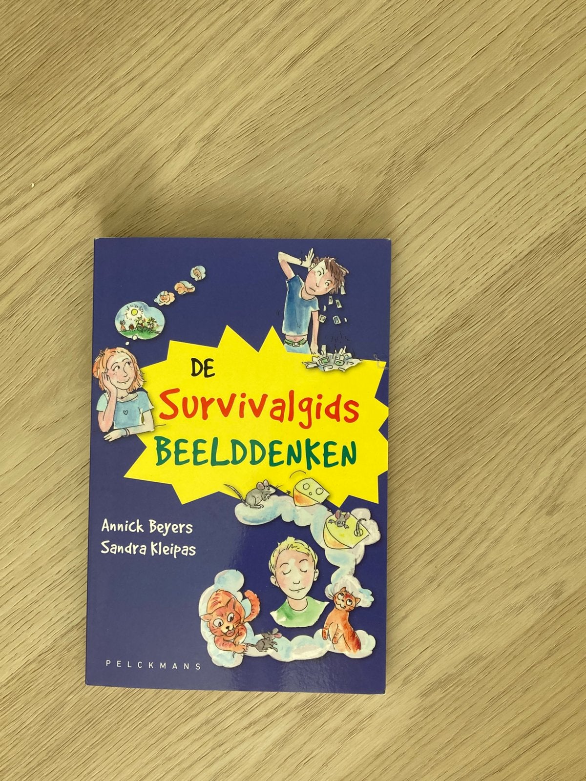 Annick Beyers - De survivalgids beelddenken, Boeken, Annick Beyers; Sandra Kleipas, Nieuw, Ophalen of Verzenden, Nederlands