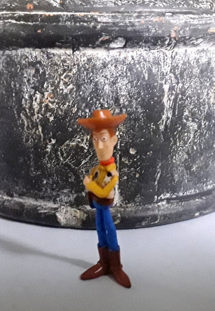 Pride Wooden - Toy Story - Albert Heijn Spaaractie 2010 - AH, Albert Heijn, Ophalen of Verzenden