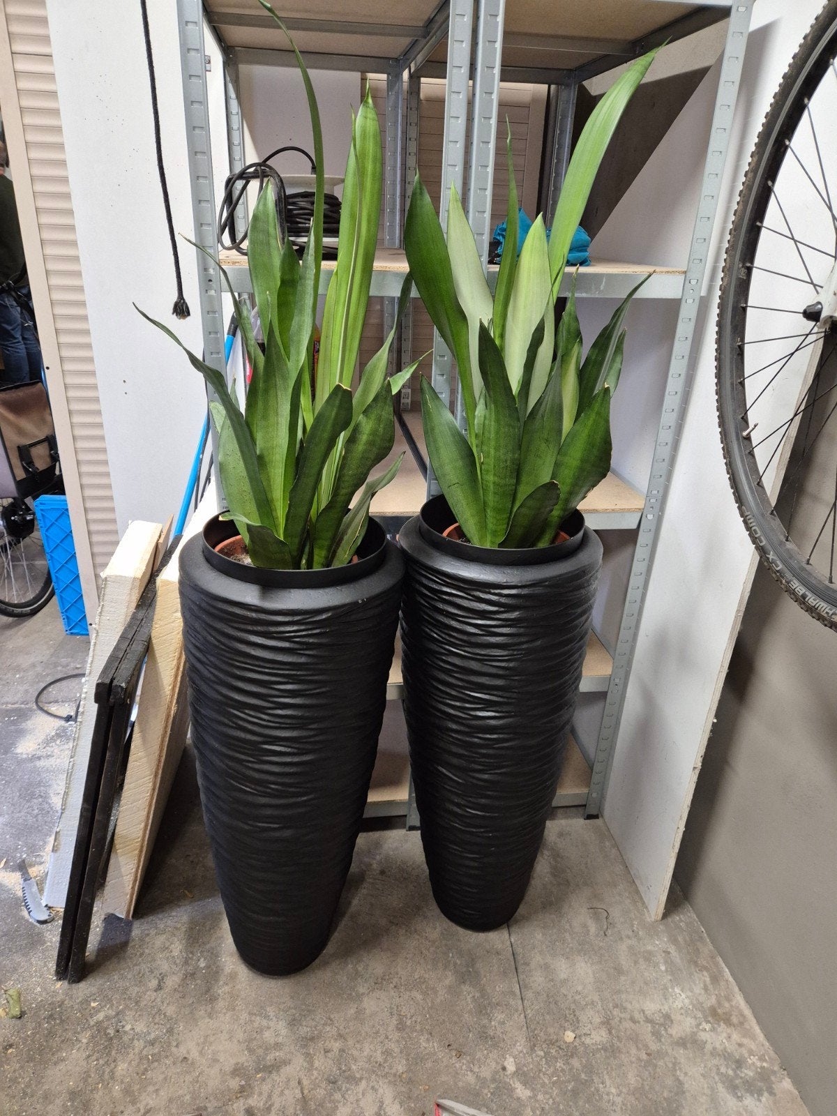 twee hoge bloempotten voor binnen of buiten  zwart, Ophalen, Kunststof, Gebruikt, 40 cm of meer