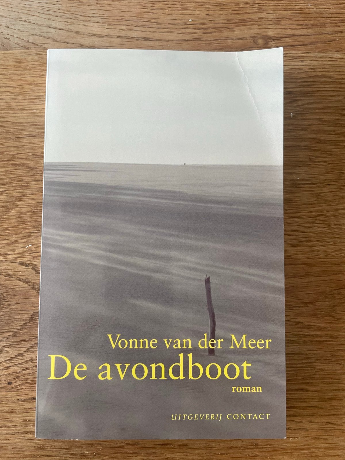 Vonne van der Meer - De avondboot, Ophalen of Verzenden, Gelezen, Vonne van der Meer