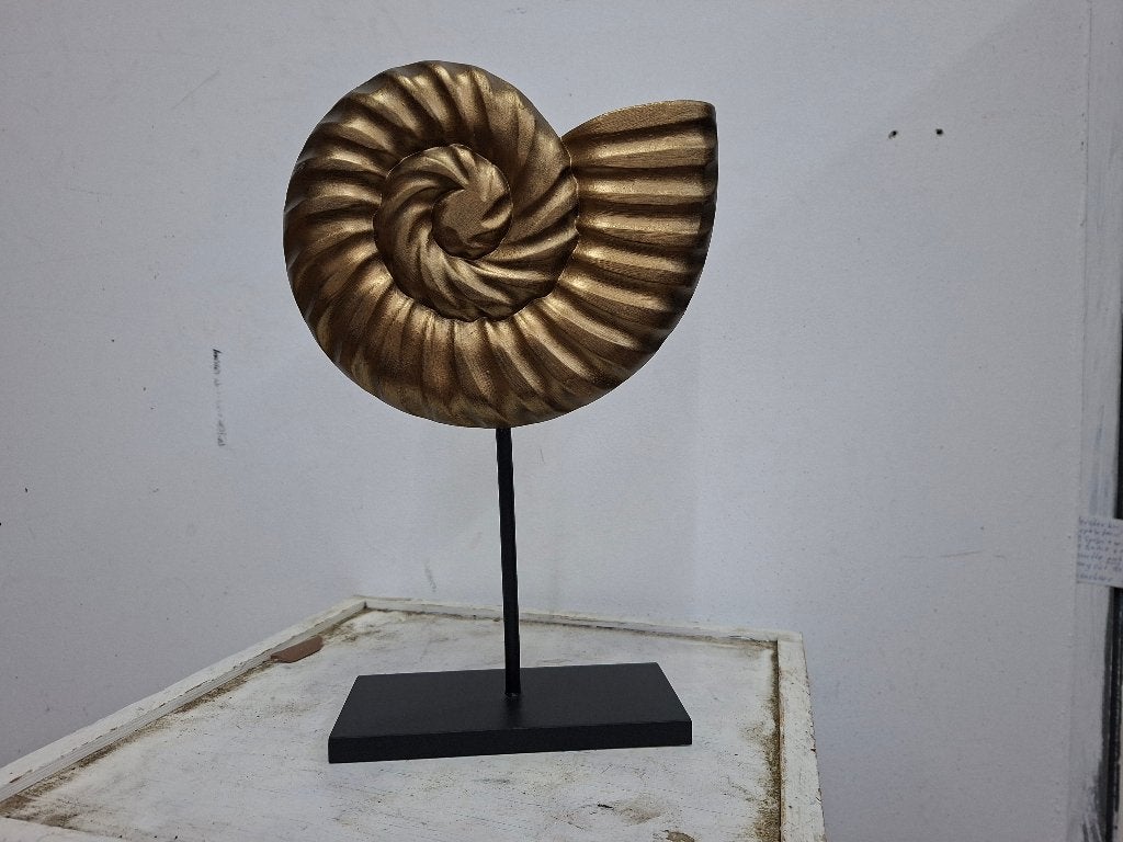 Mooie houten decoratie schelp op een zwarte voet, Ophalen of Verzenden, Zo goed als nieuw, Dier