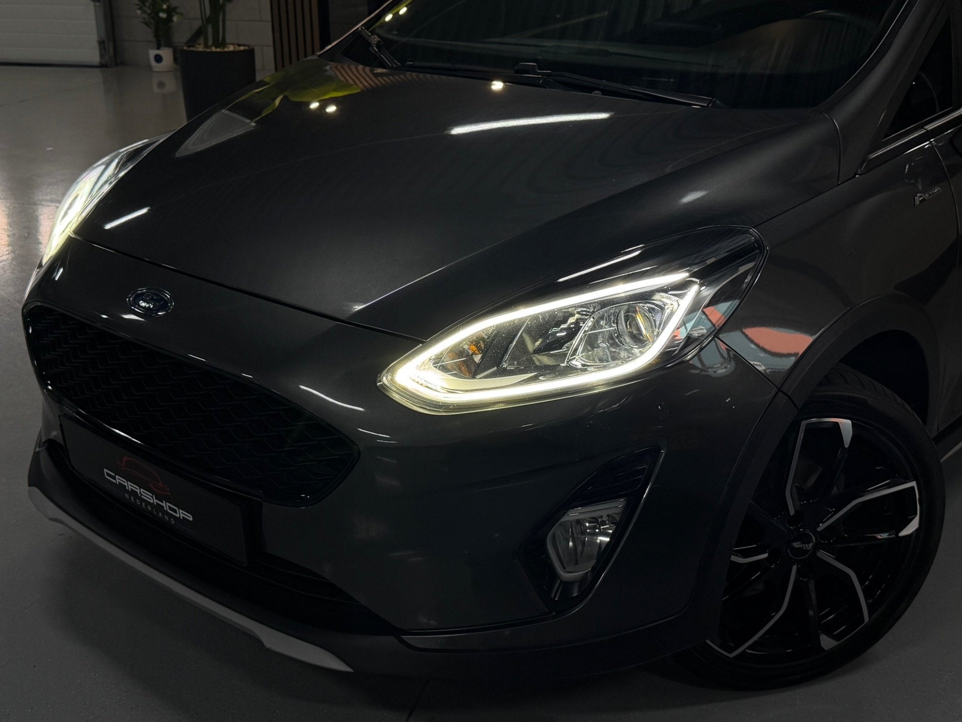 Ford Fiesta 1.0 EcoBoost ACTIVE EDITION! CARPLAY/CAMERA/LANE, Voorwielaandrijving, Dealer onderhouden, Gebruikt, Bedrijf